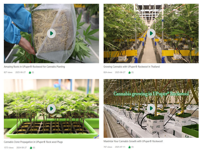 Rockwool hydroponic growing guide video tutorials.jpg